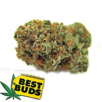 OG Kush 